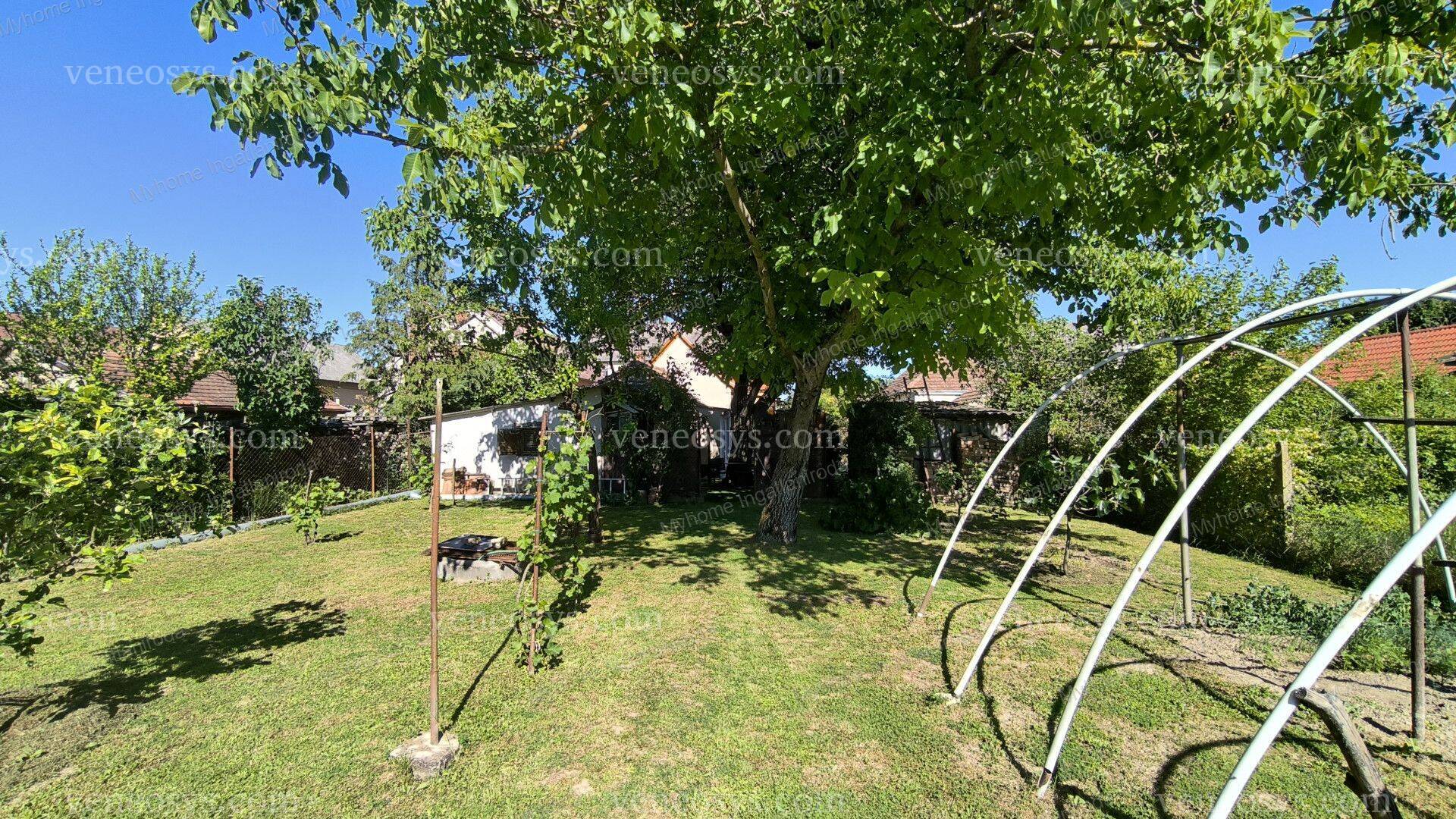 Kép 15