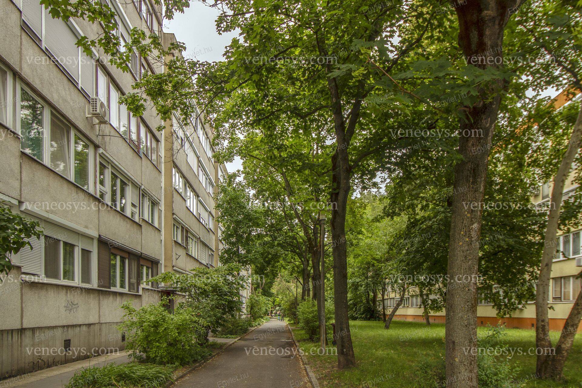 Kép 17