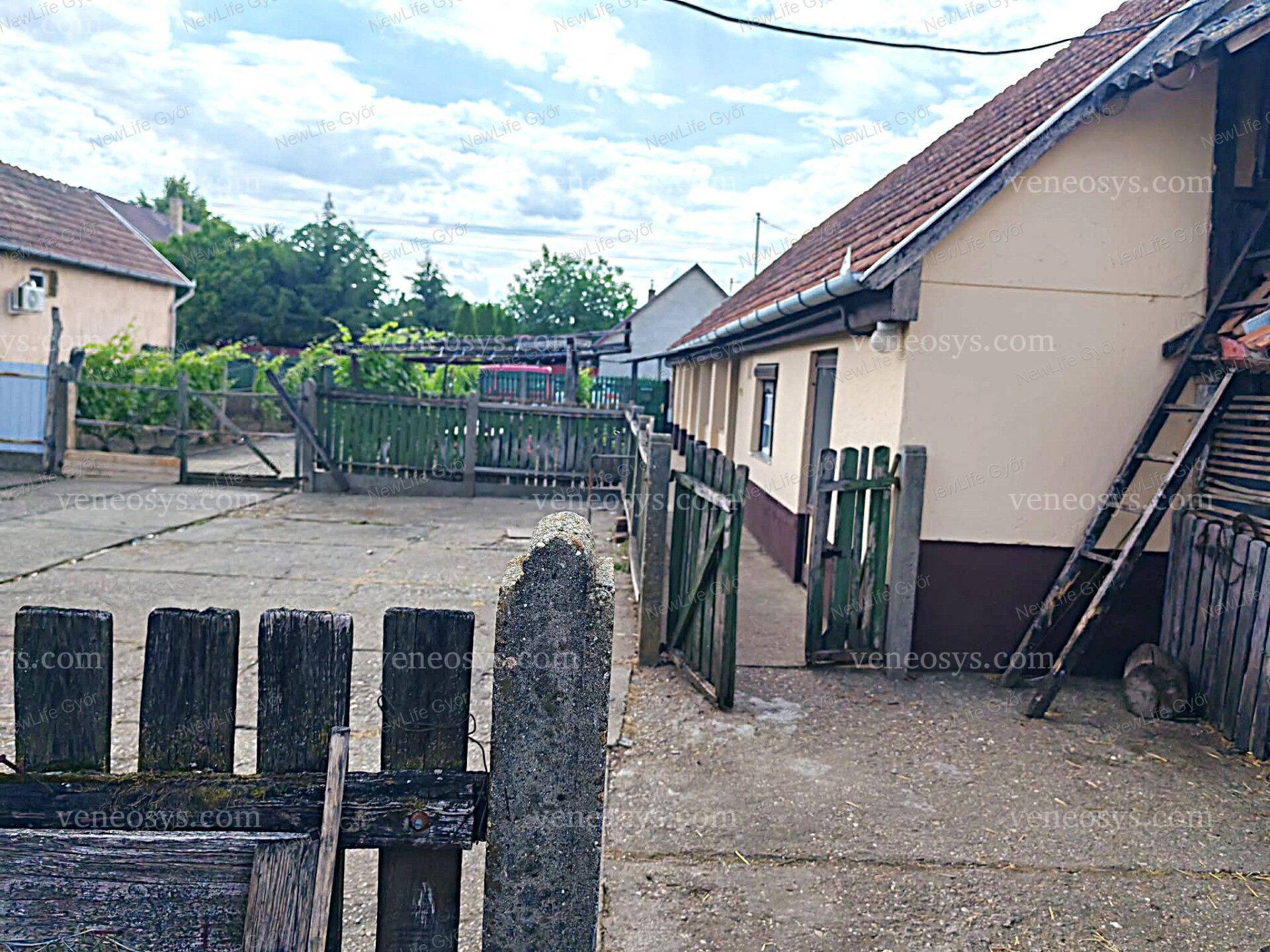 Kép 13