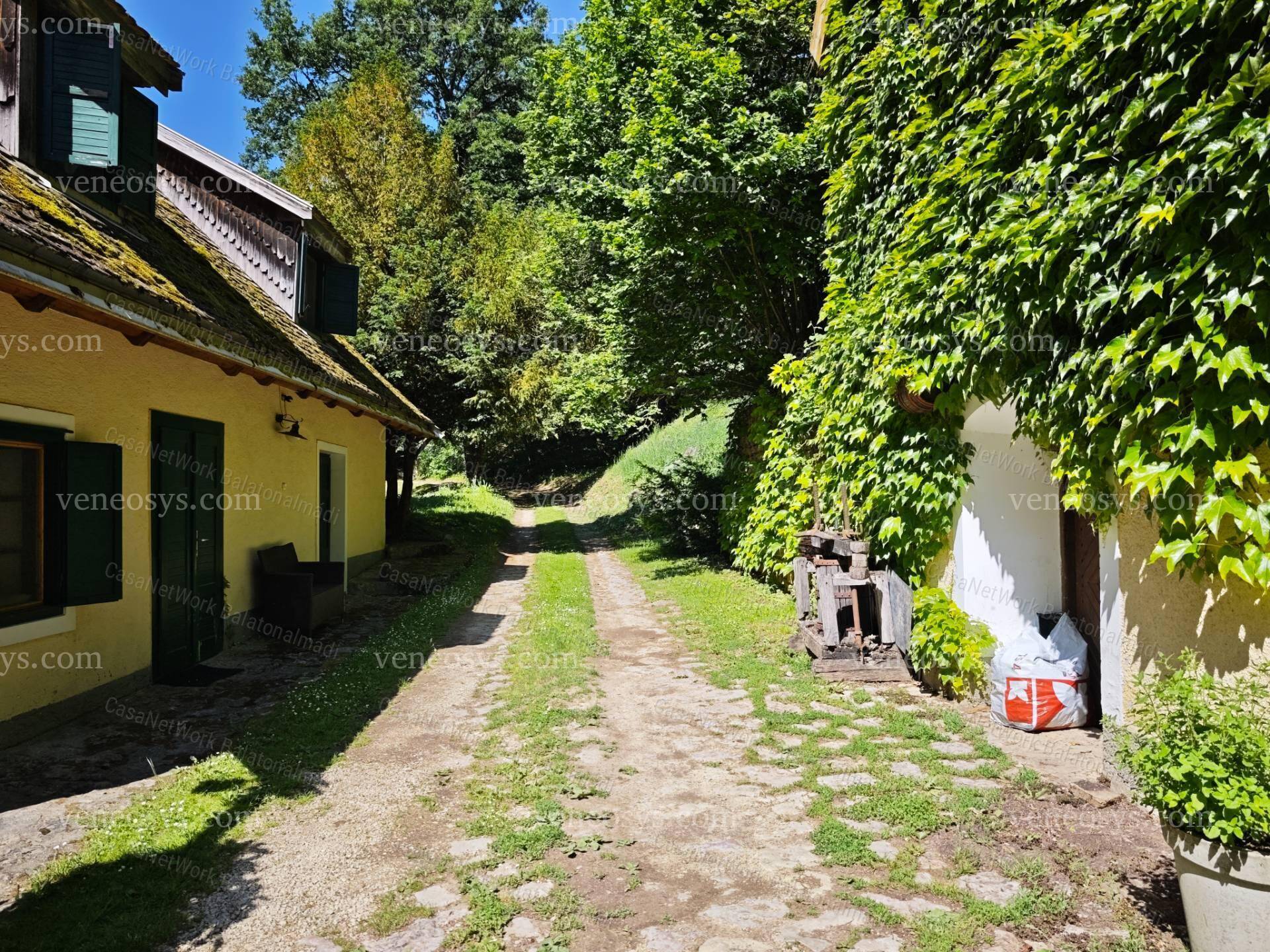 Kép 2