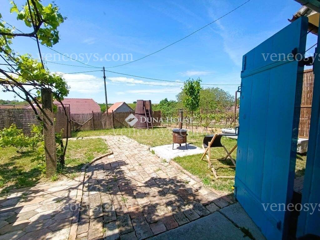 Kép 15