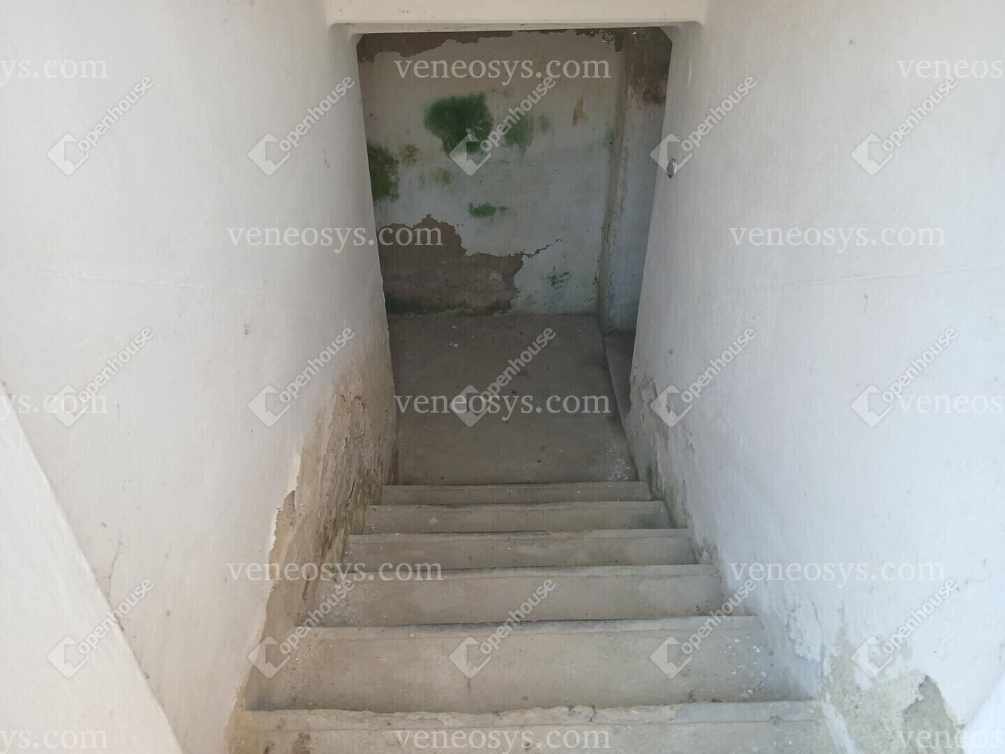 Kép 14