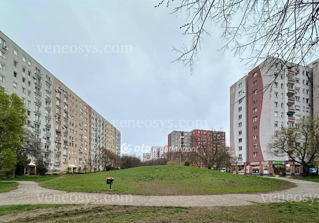 Kép 12