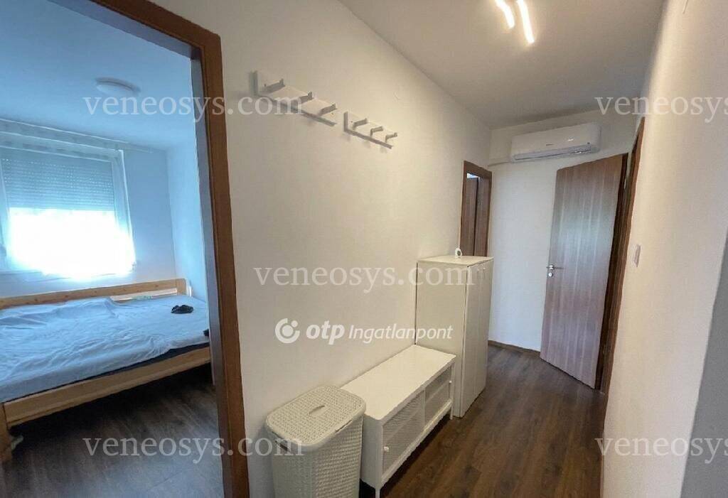 Kép 6
