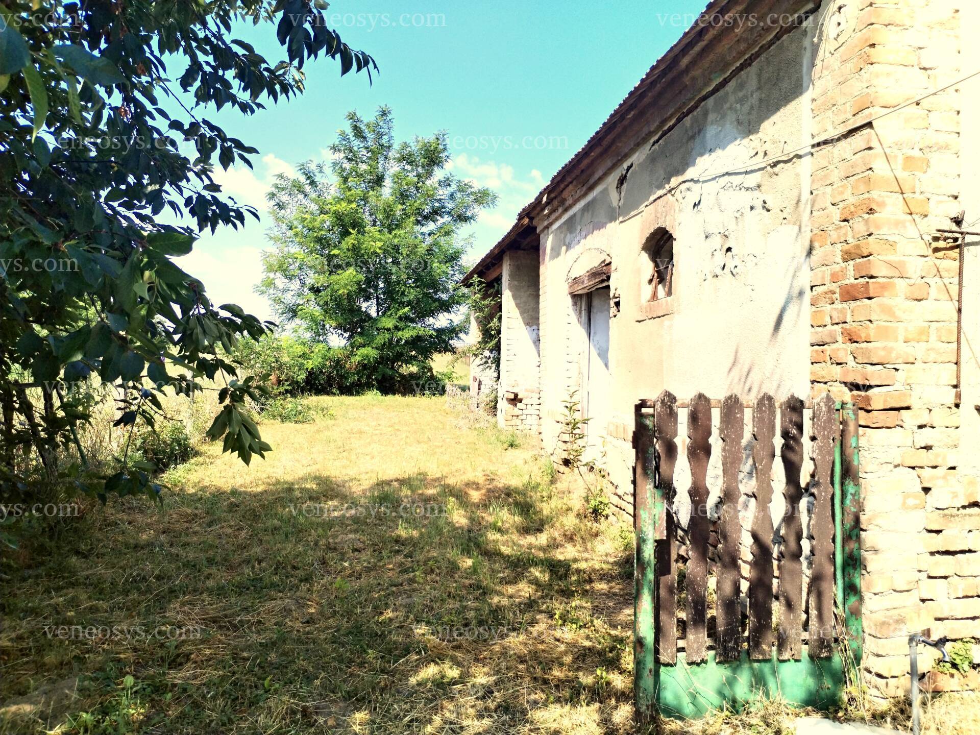 Kép 23