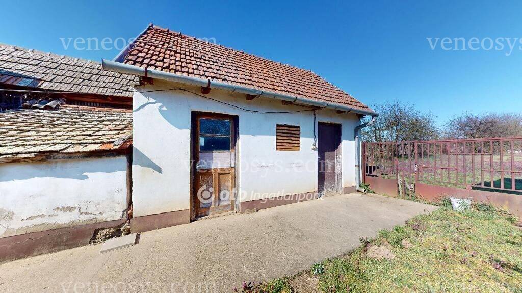 Kép 19