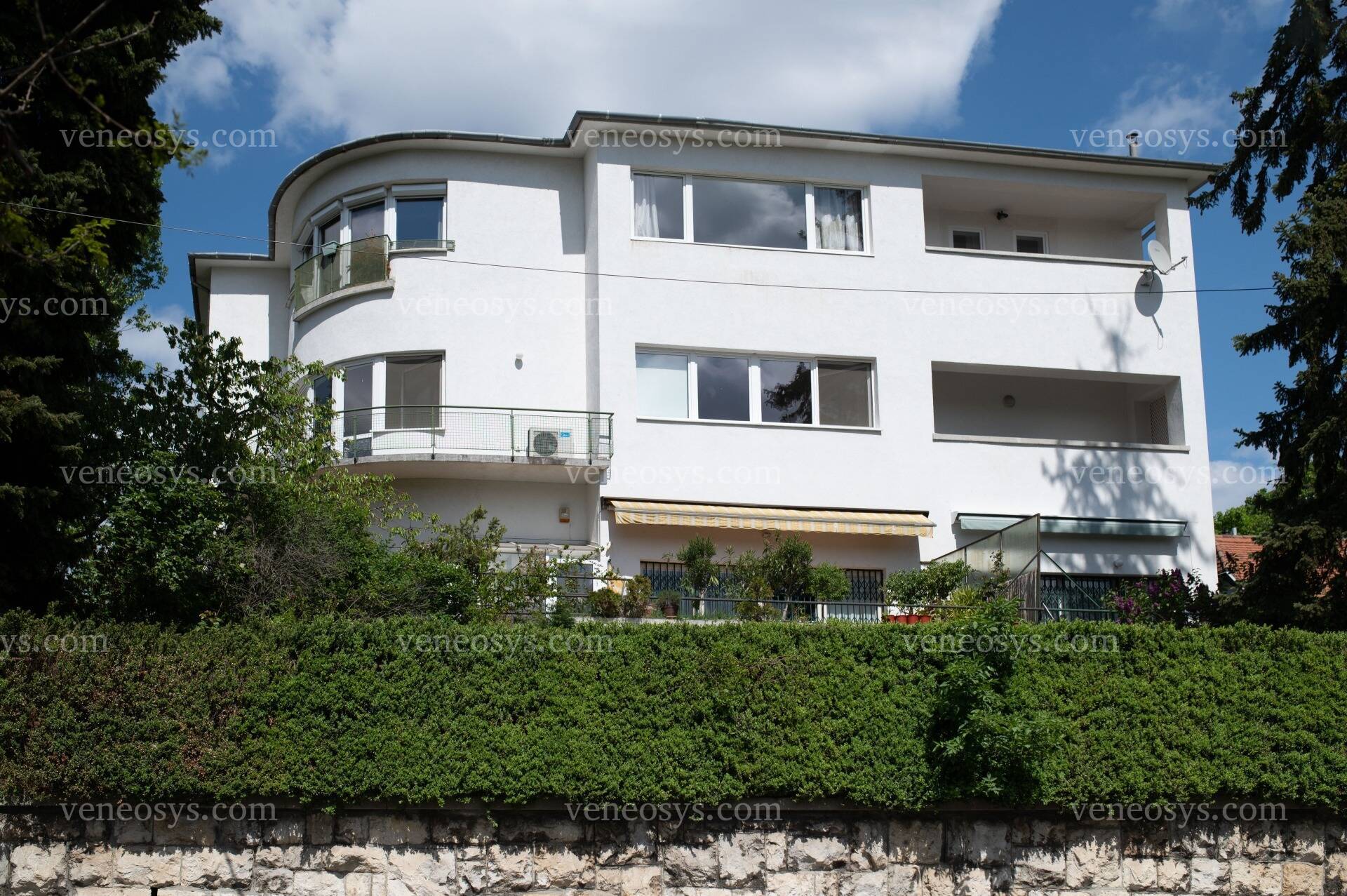 Kép 7