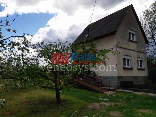 Kép 7