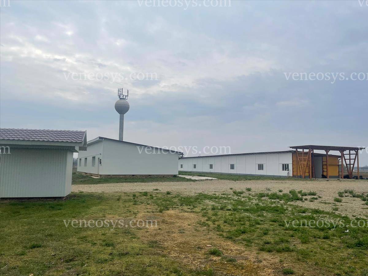 Kép 5