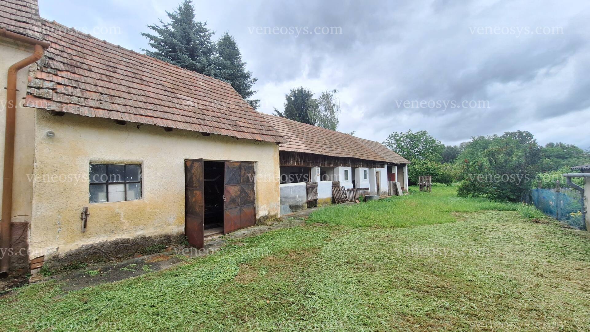 Kép 12