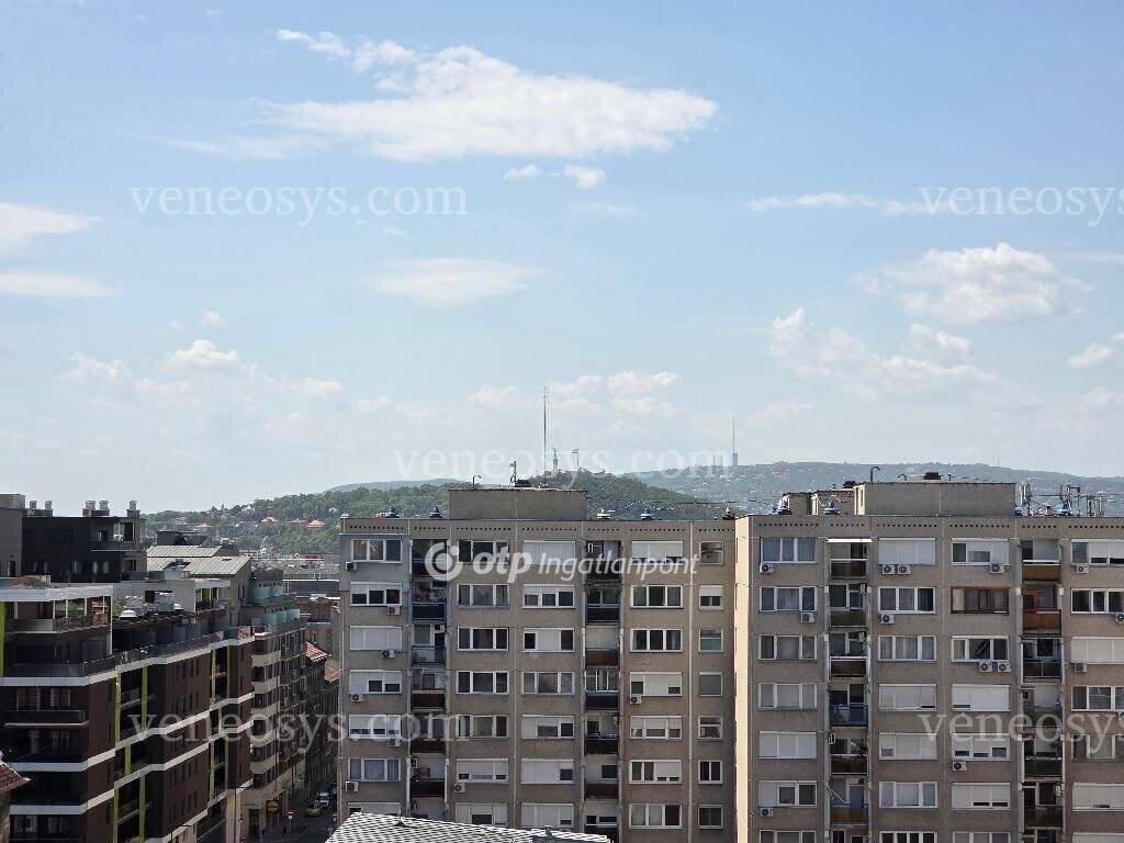 Kép 1