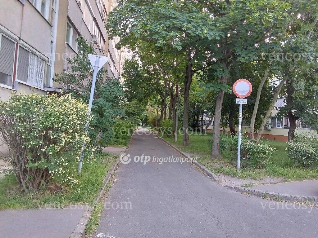 Kép 5