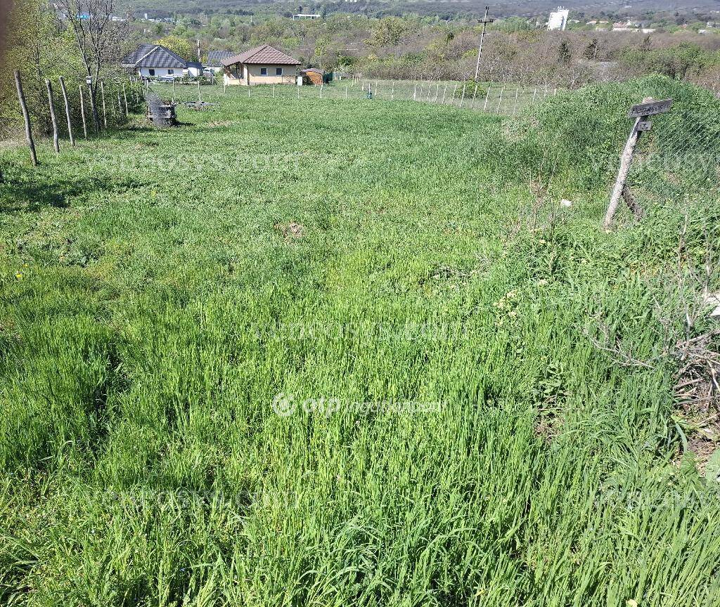 Balatonfűzfő