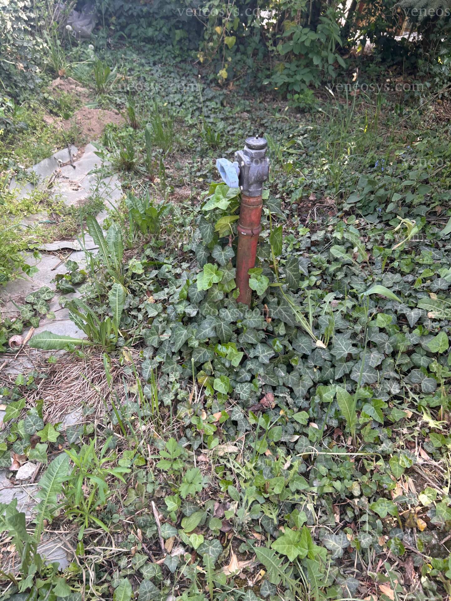 Kép 8