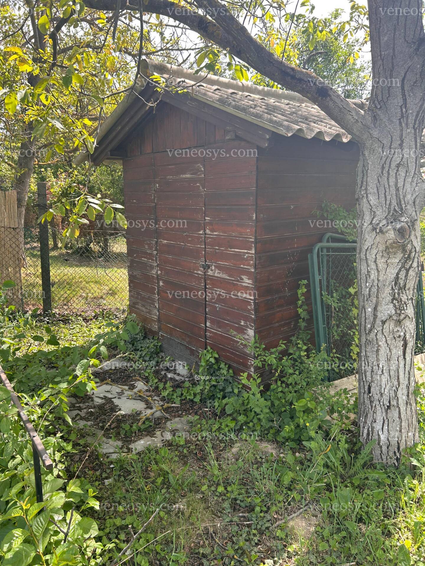 Kép 7