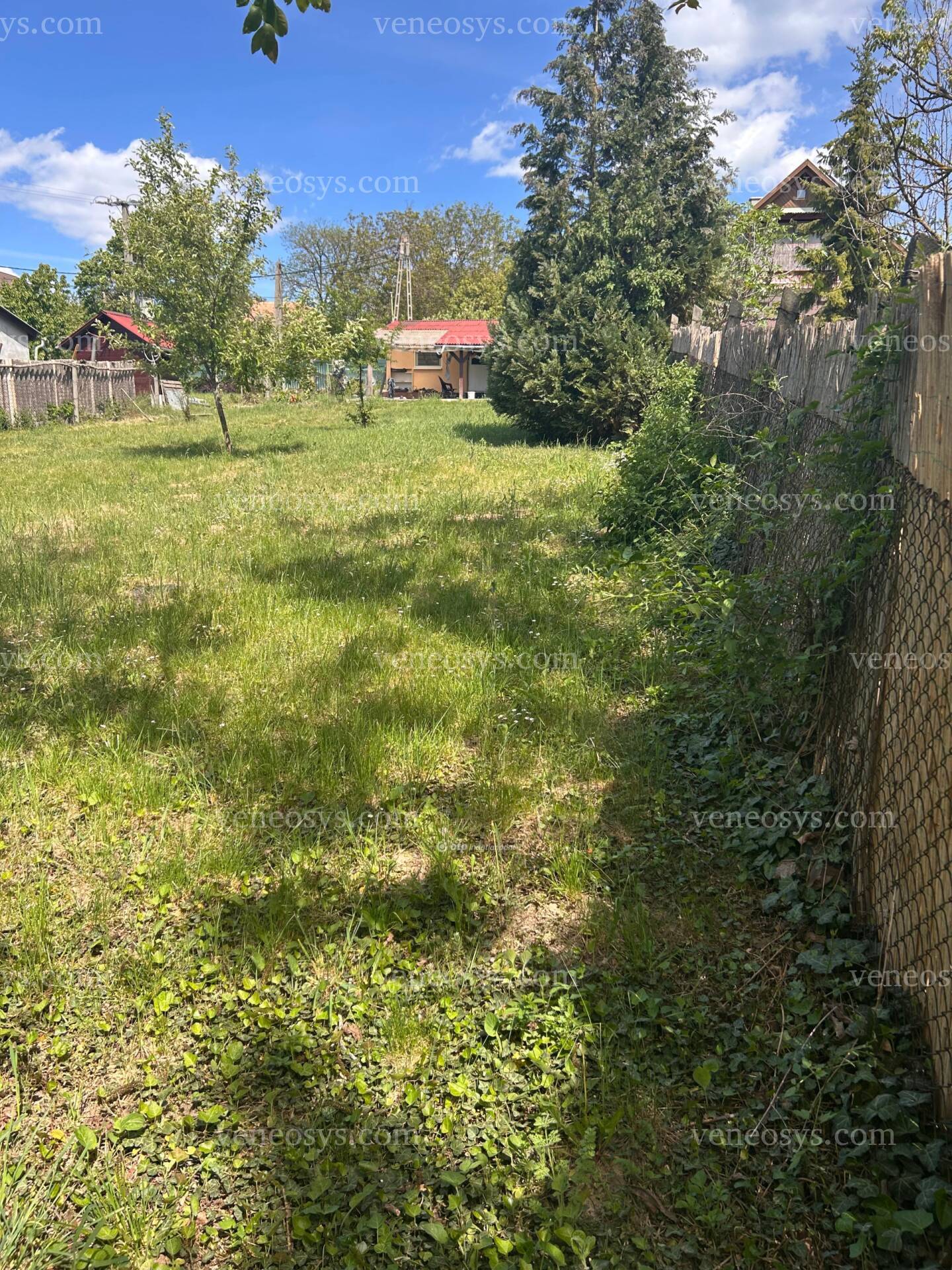 Kép 12