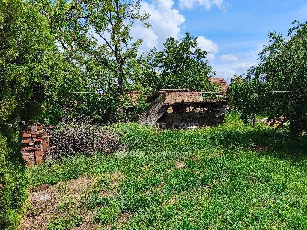 Kép 16