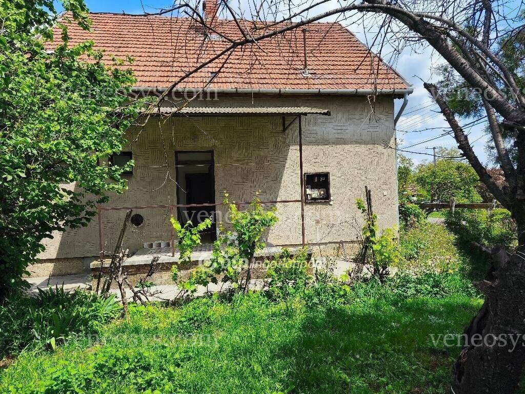 Kép 7