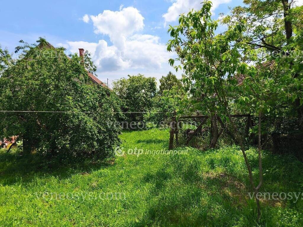 Kép 15
