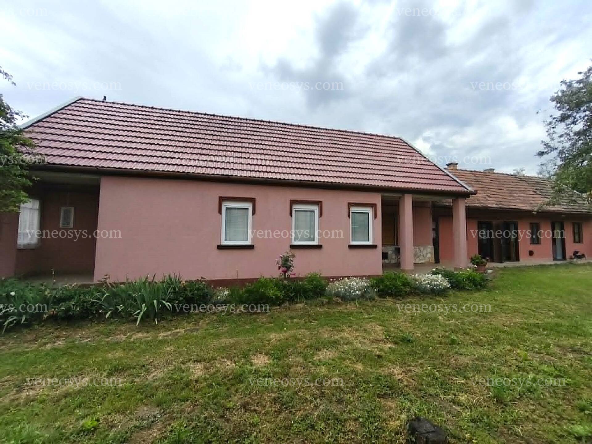 Kép 20