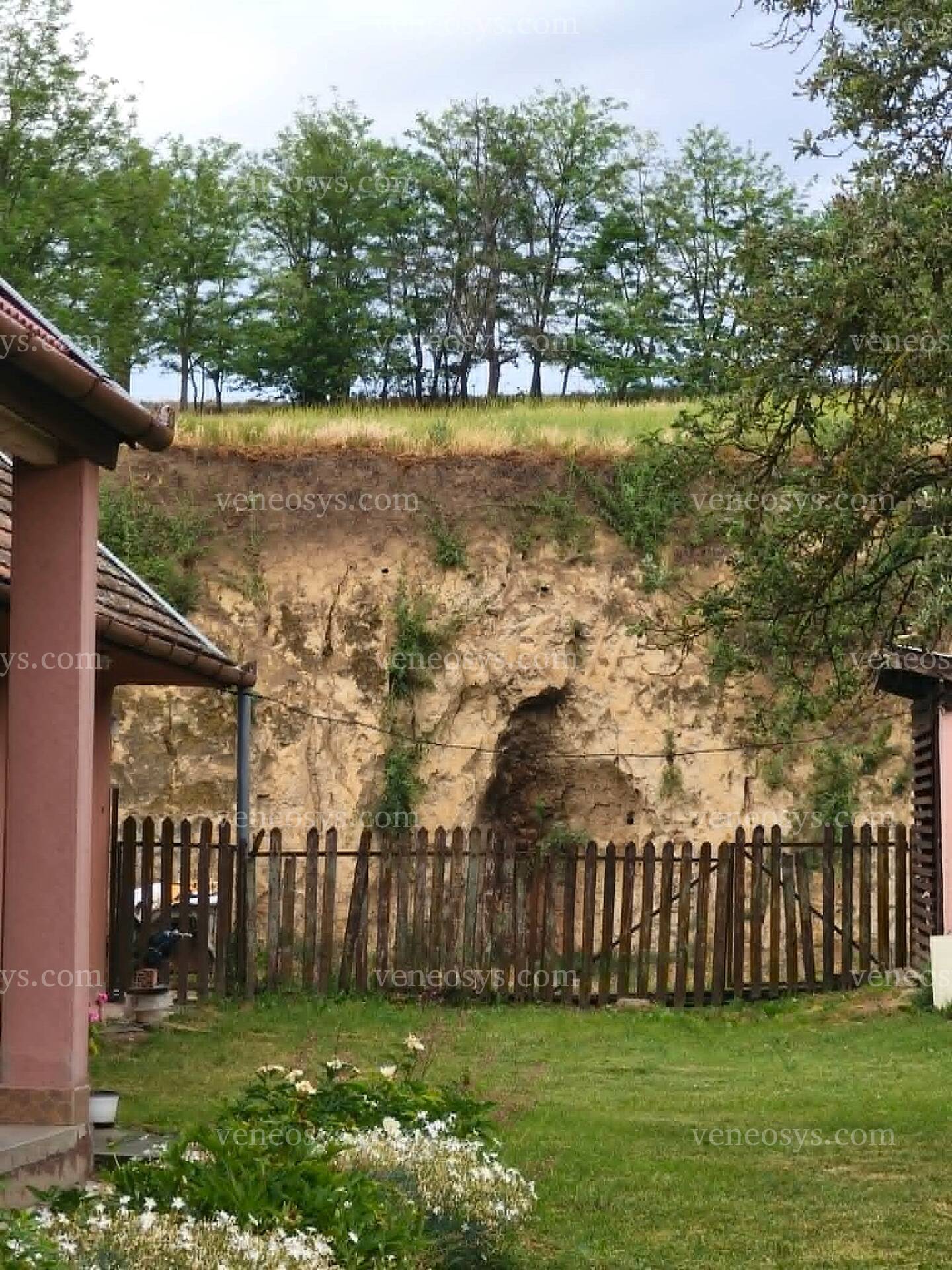 Kép 17