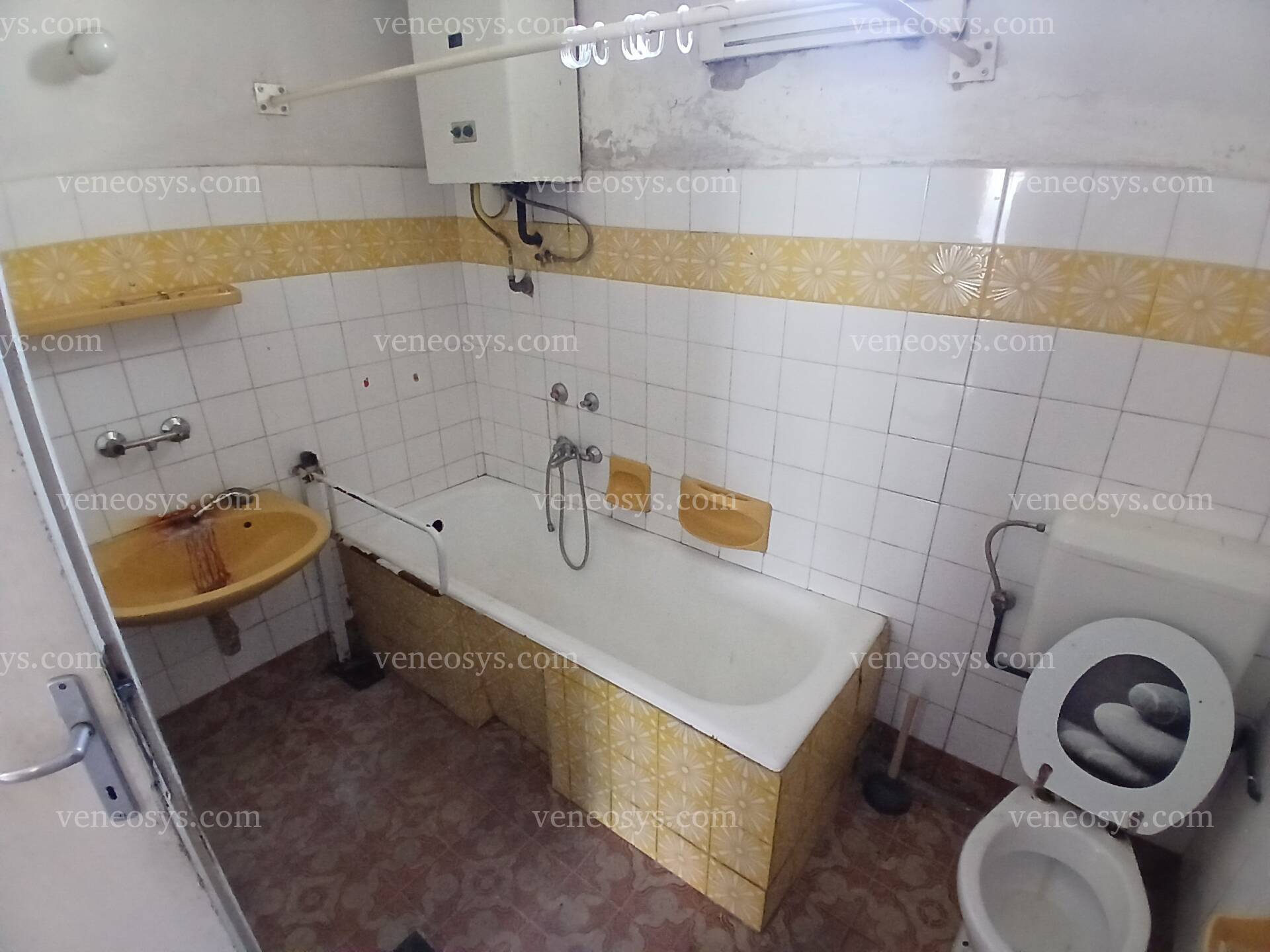 Kép 5