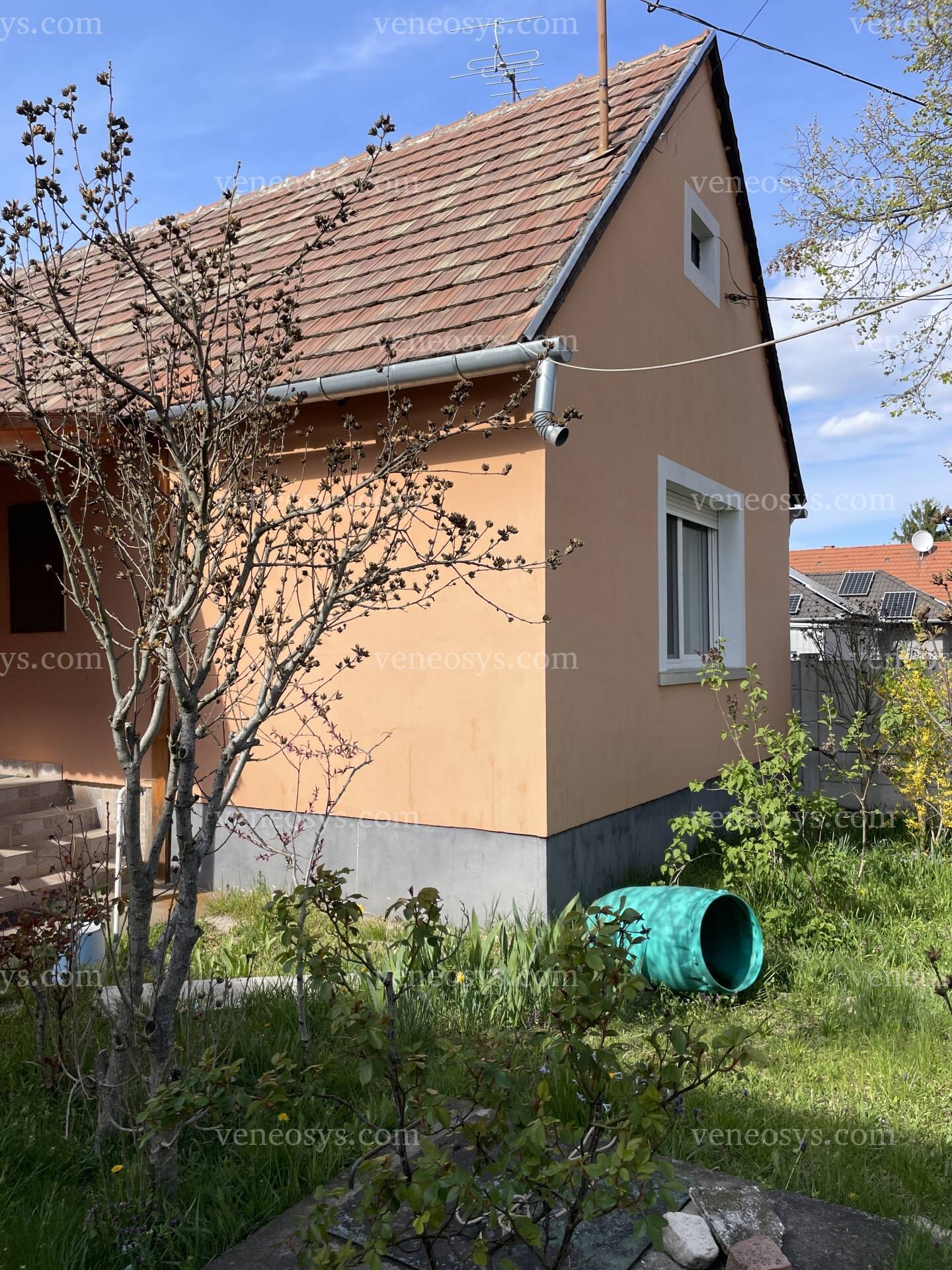 Kép 10