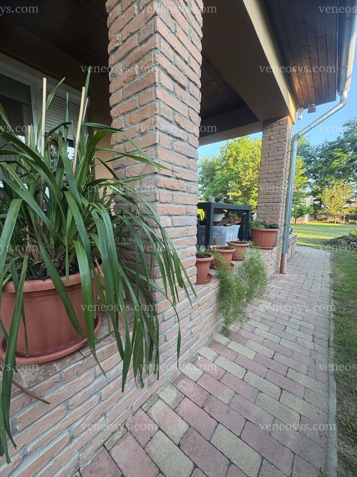 Kép 1