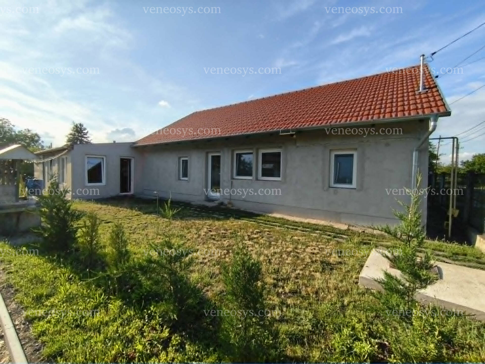 Kép 7