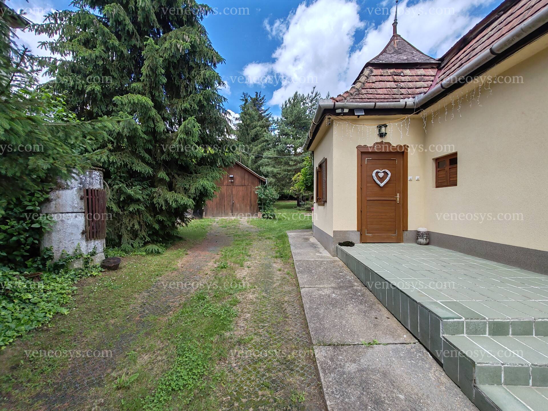 Kép 4