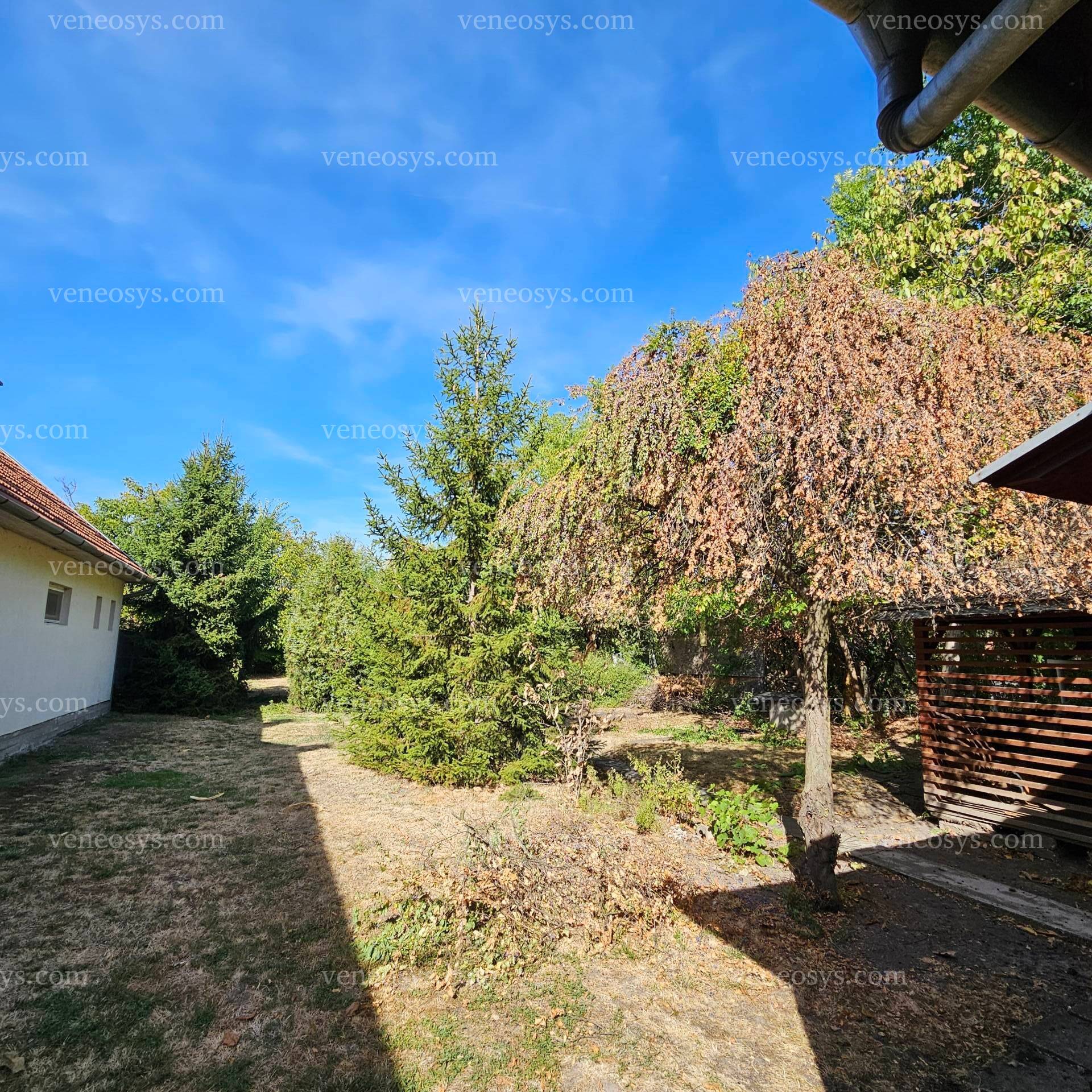 Kép 13