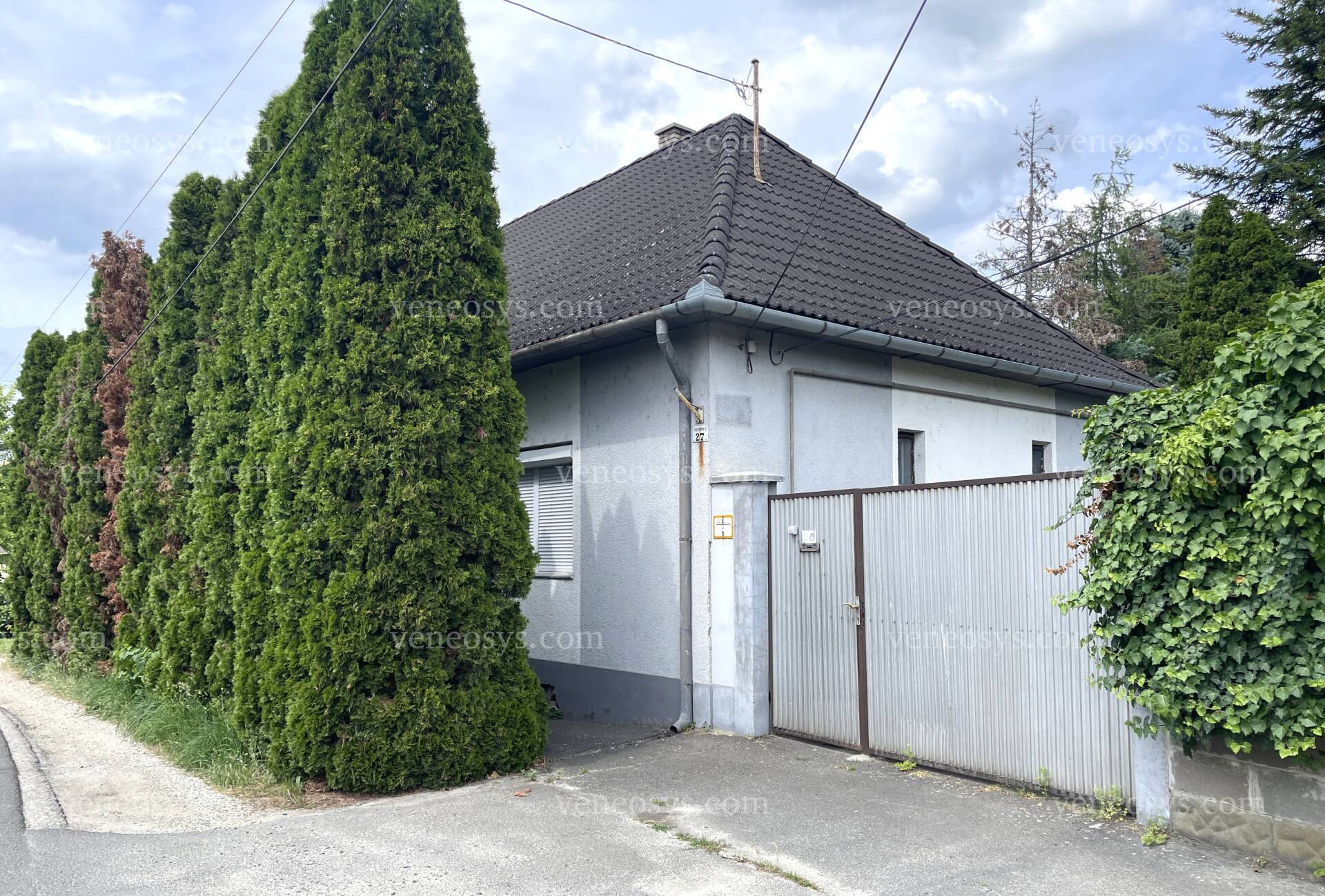 Kép 4