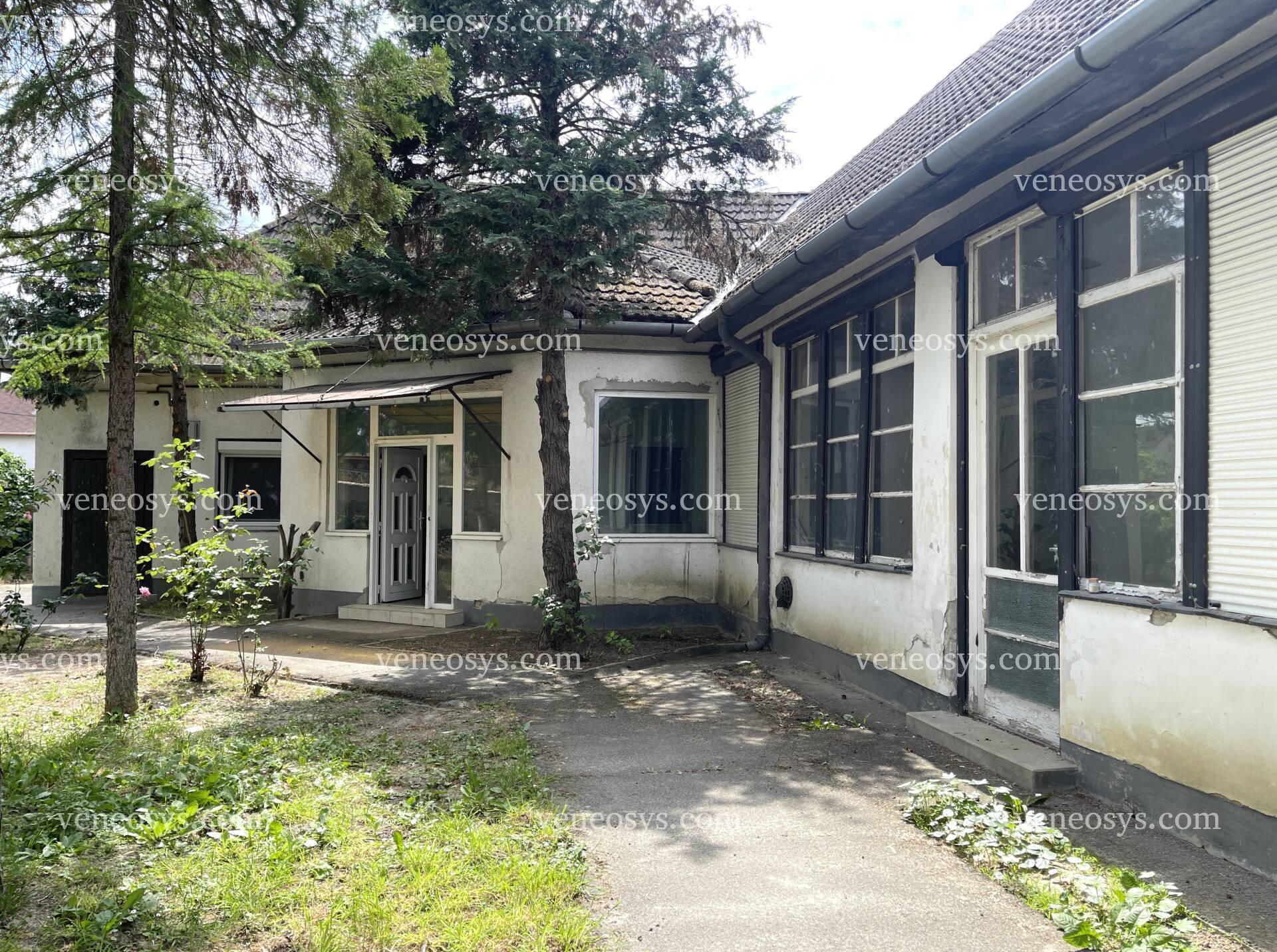 Kép 12