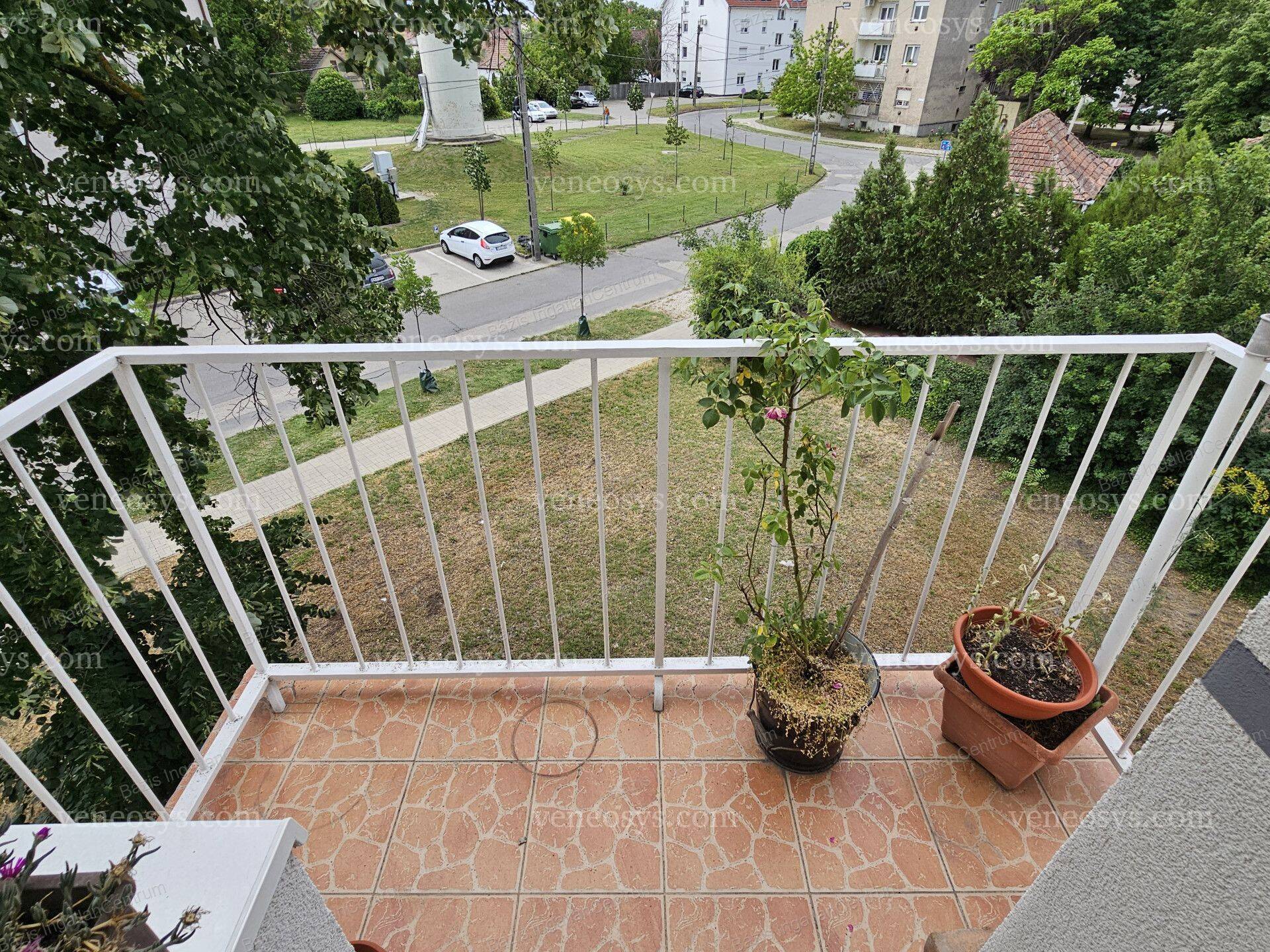 Kép 12