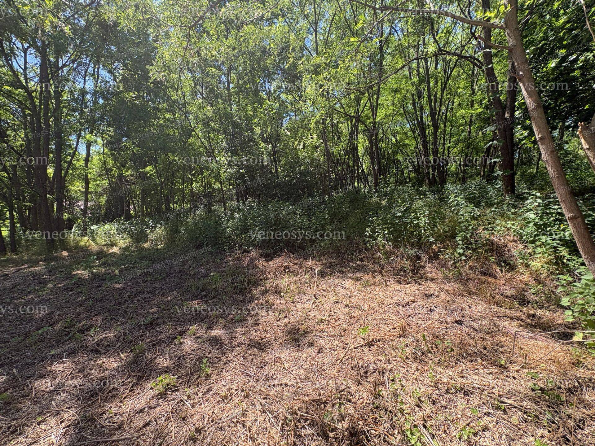 Kép 17