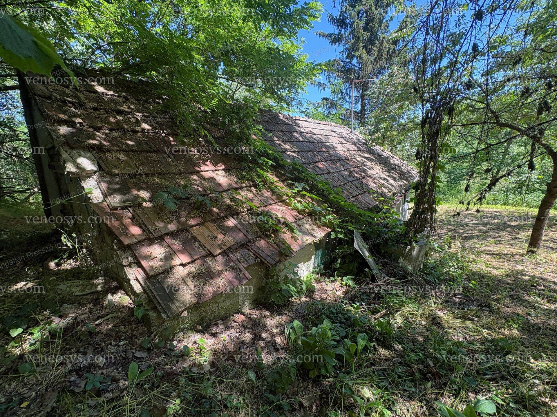 Kép 11