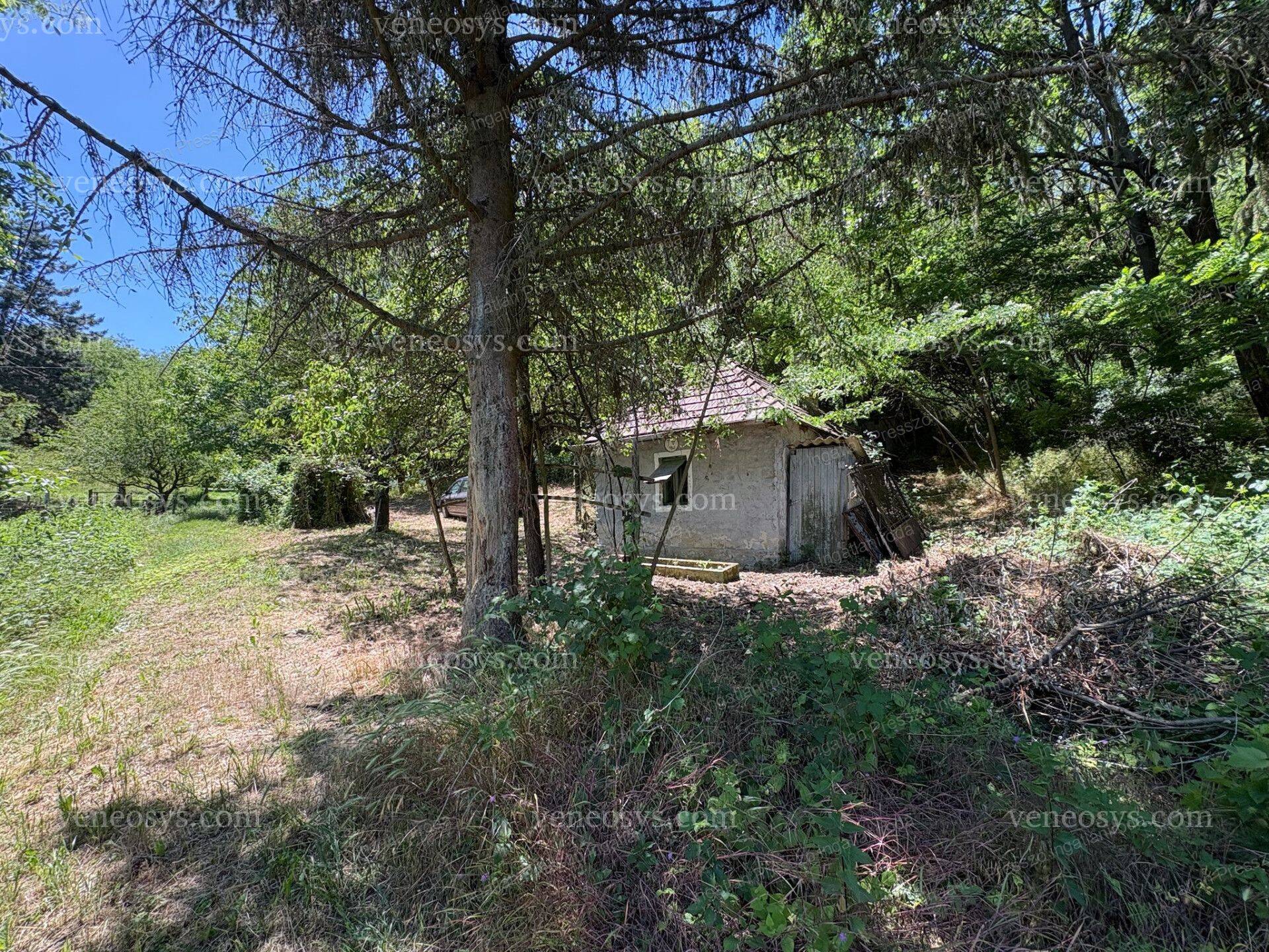 Kép 18