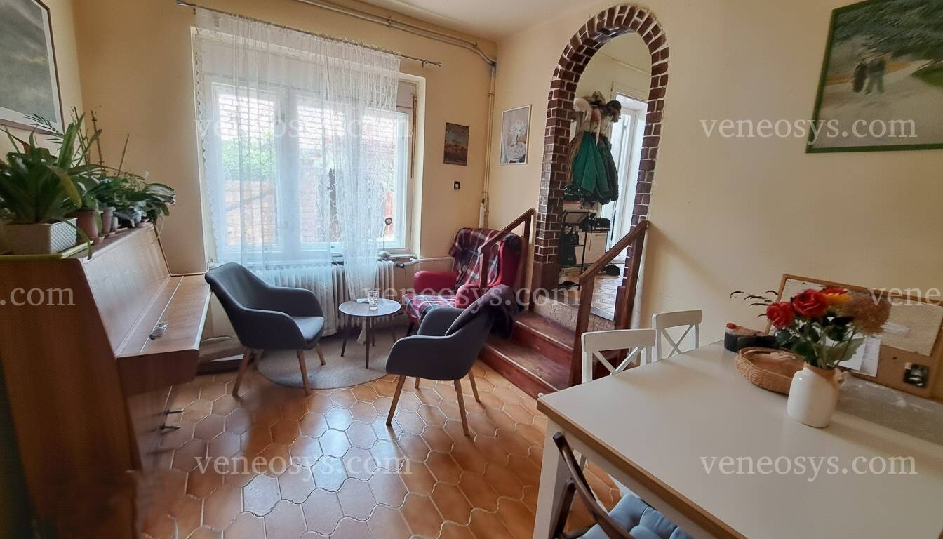 Kép 4