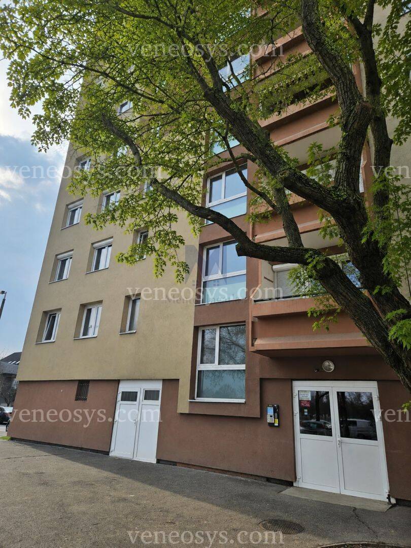 Kép 14