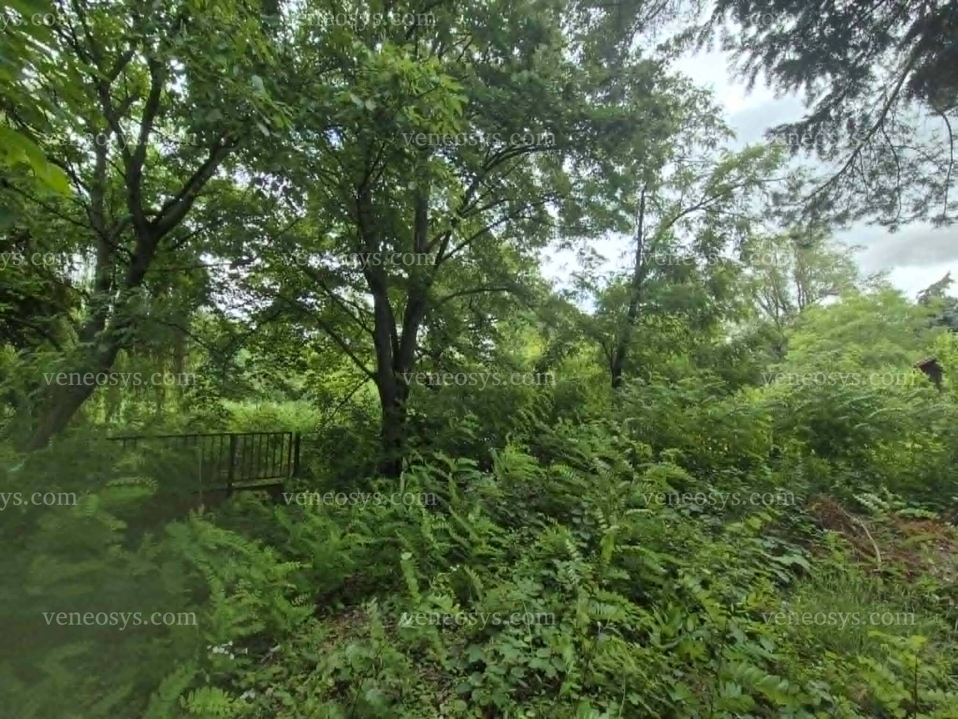 Kép 7