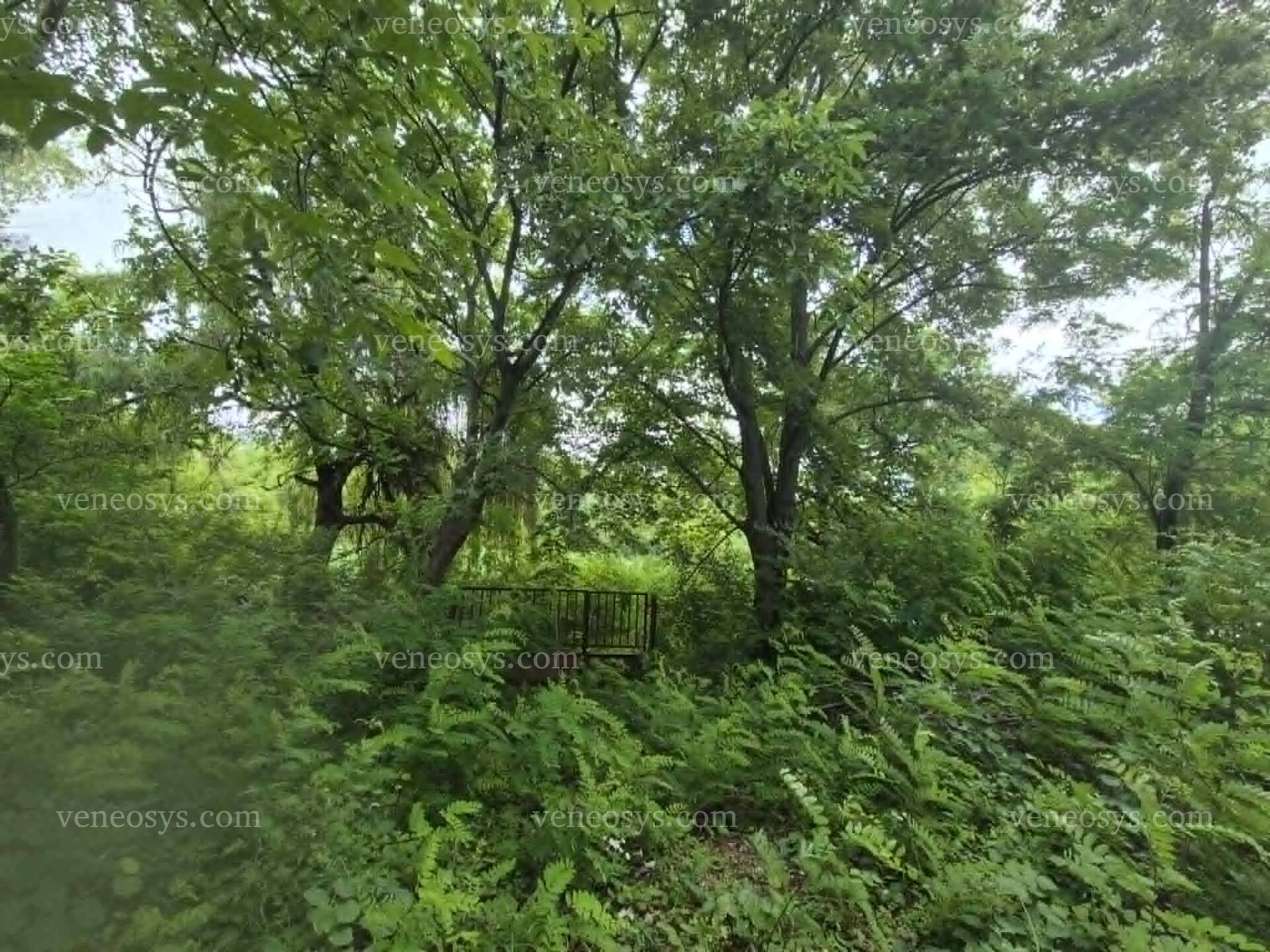 Kép 5