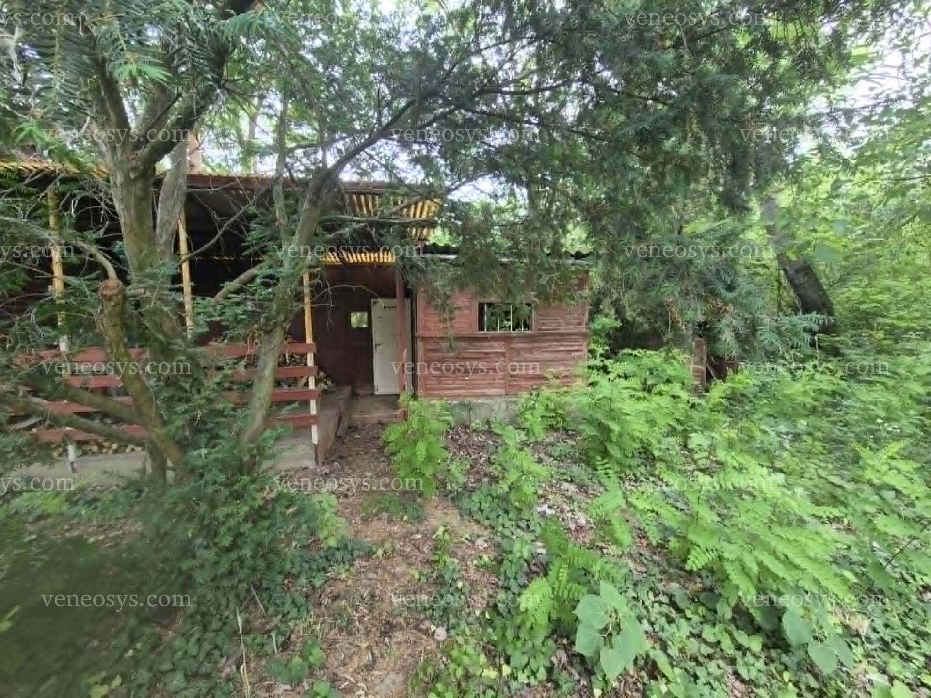 Kép 2