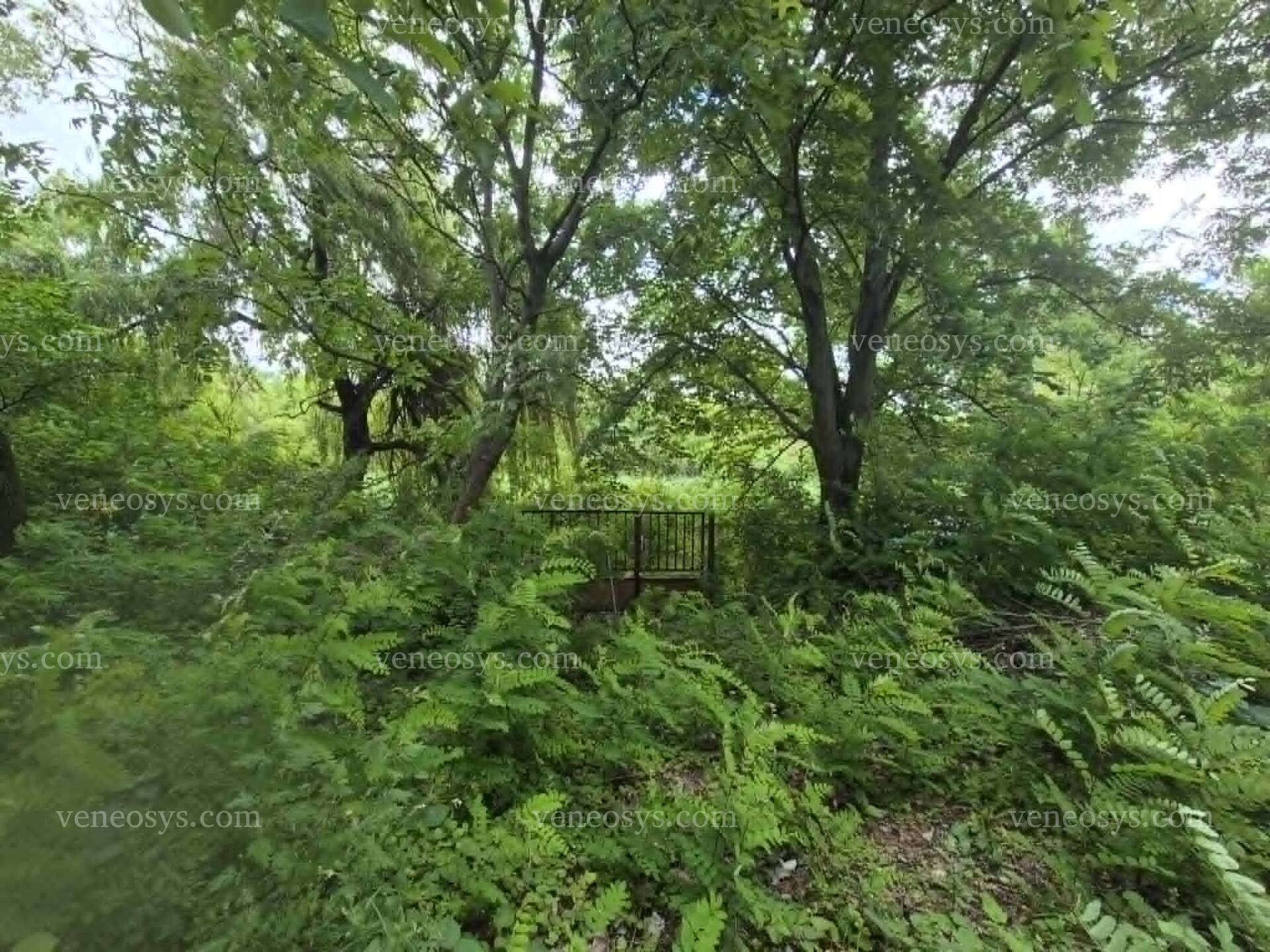 Kép 6