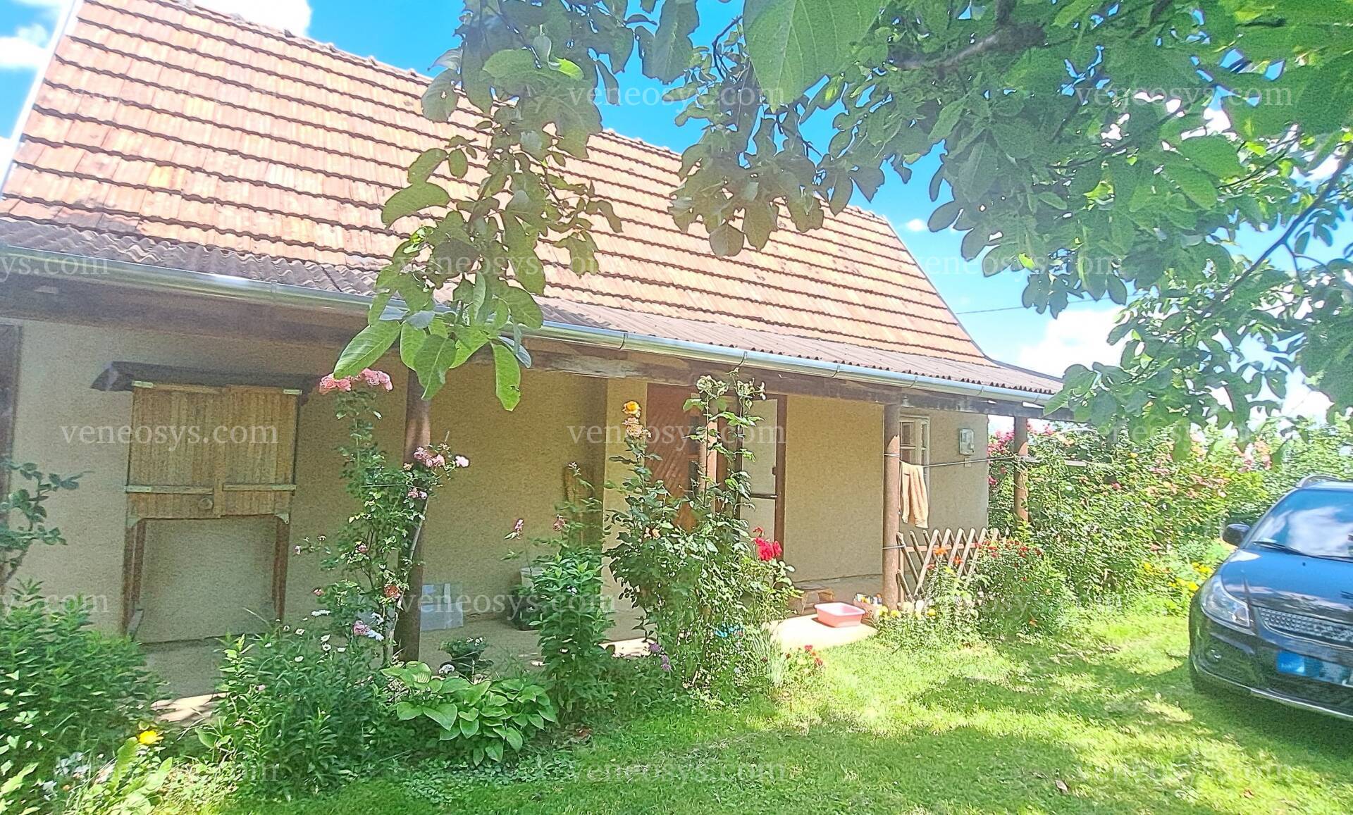 Kép 15