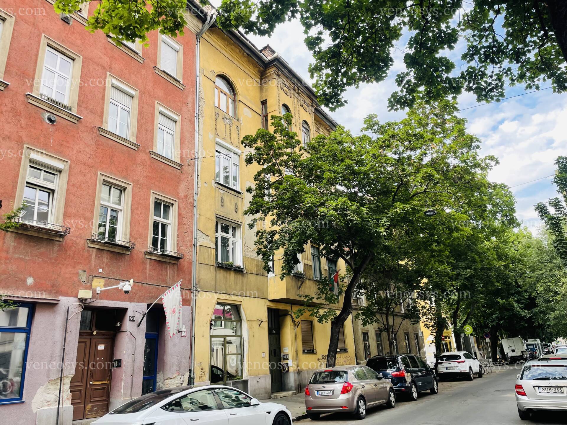 Kép 11