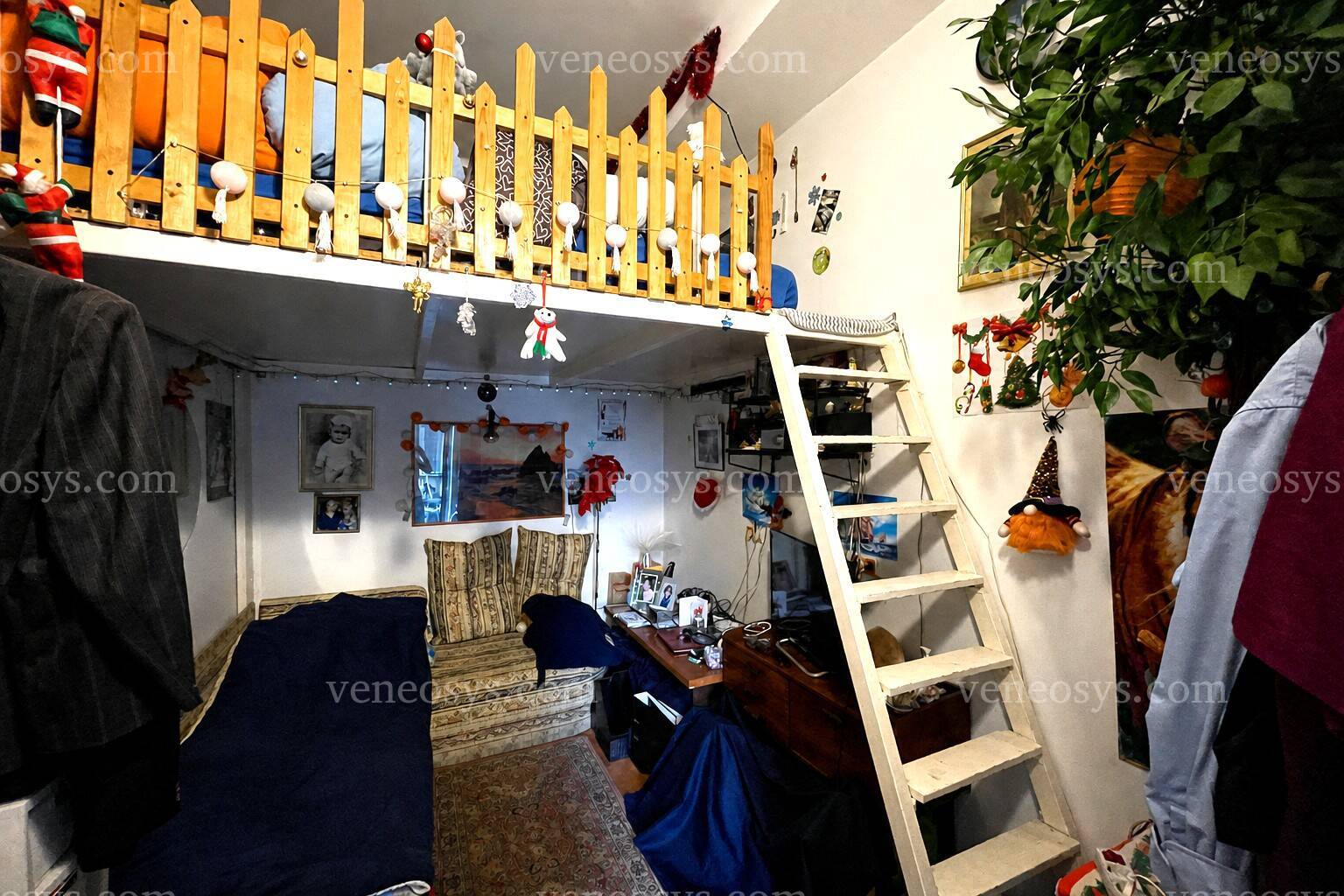 Kép 5