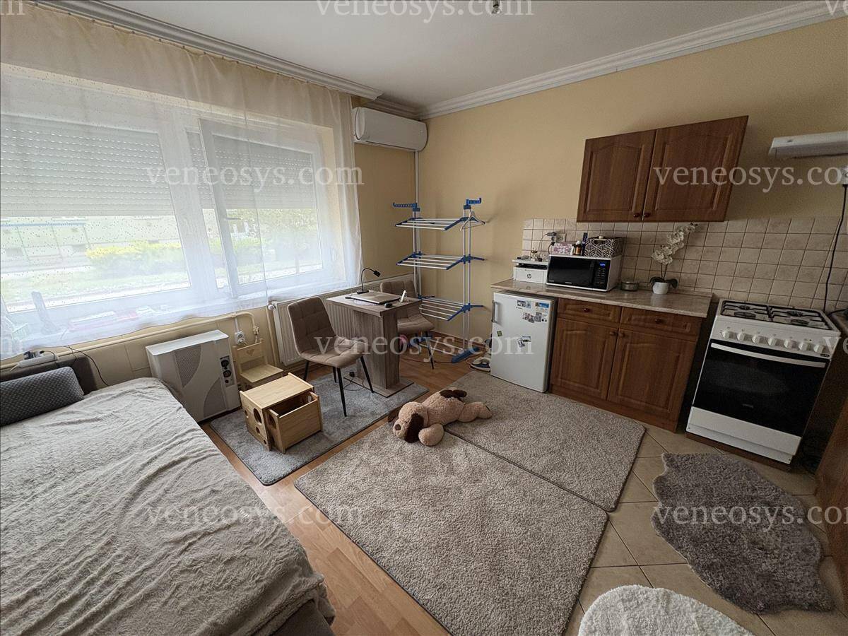 Kép 8