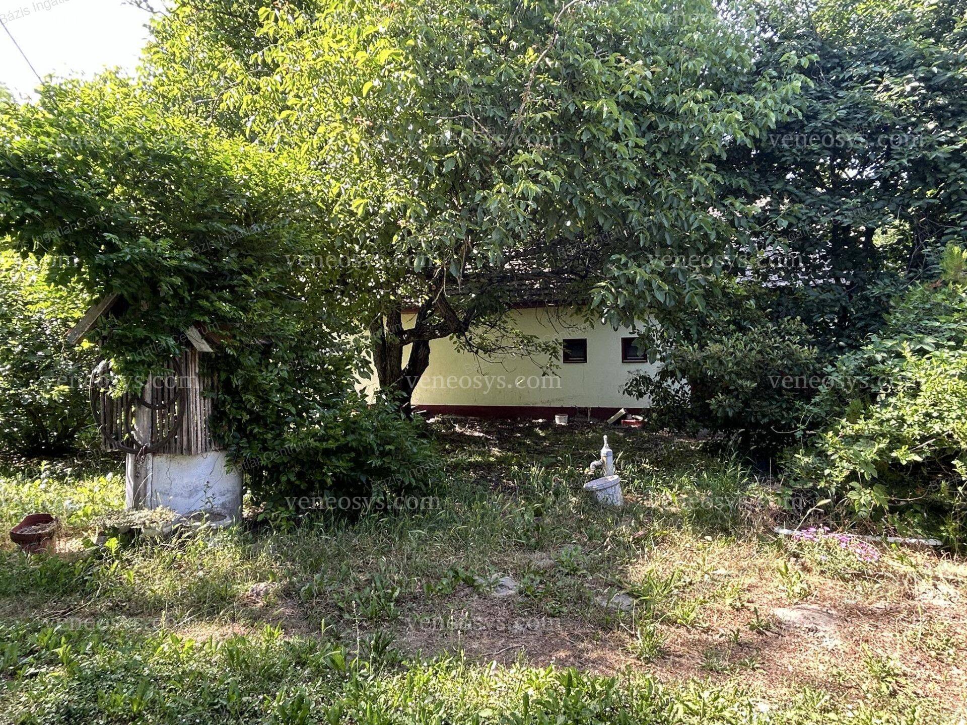 Kép 27
