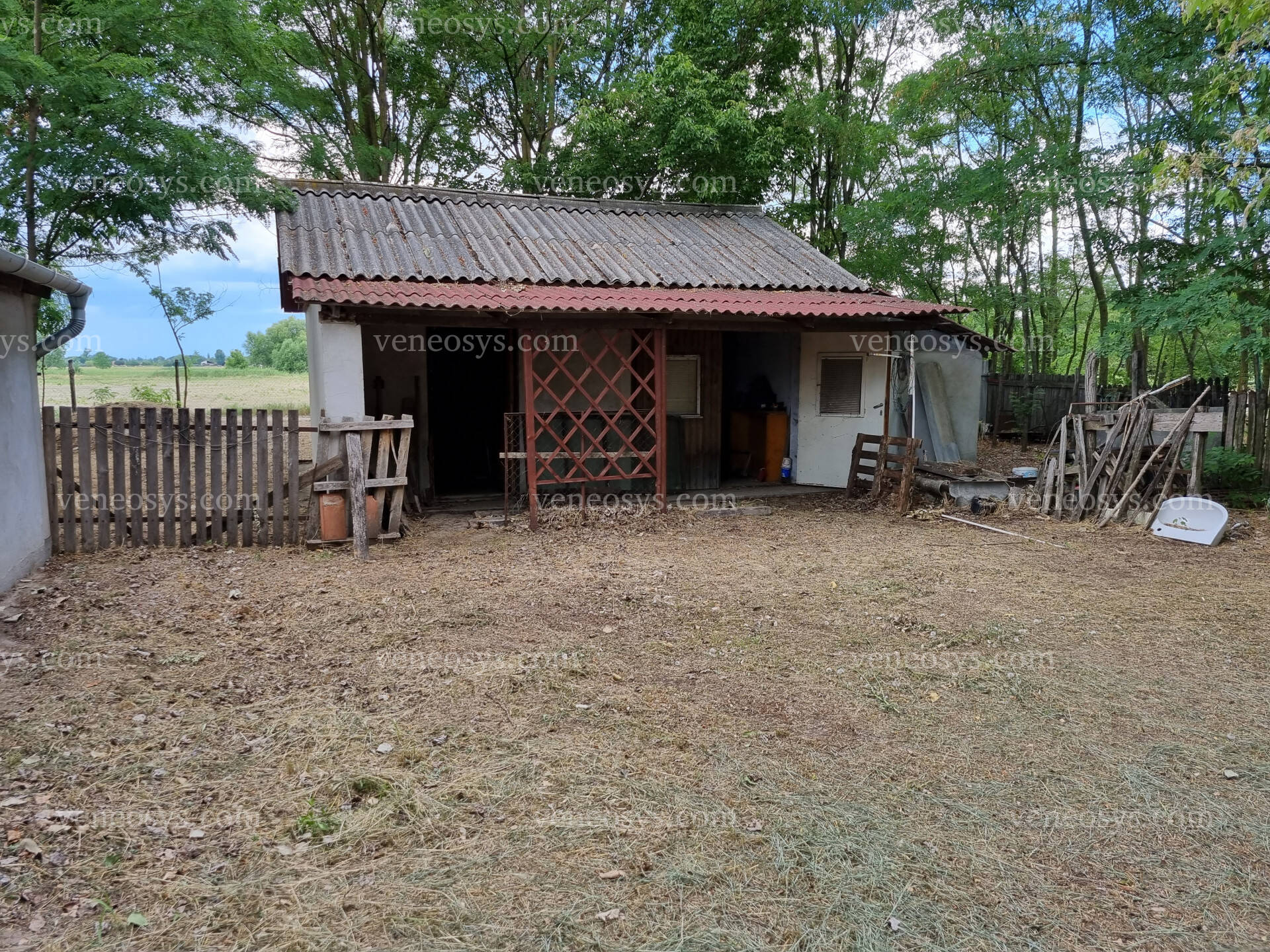 Kép 13