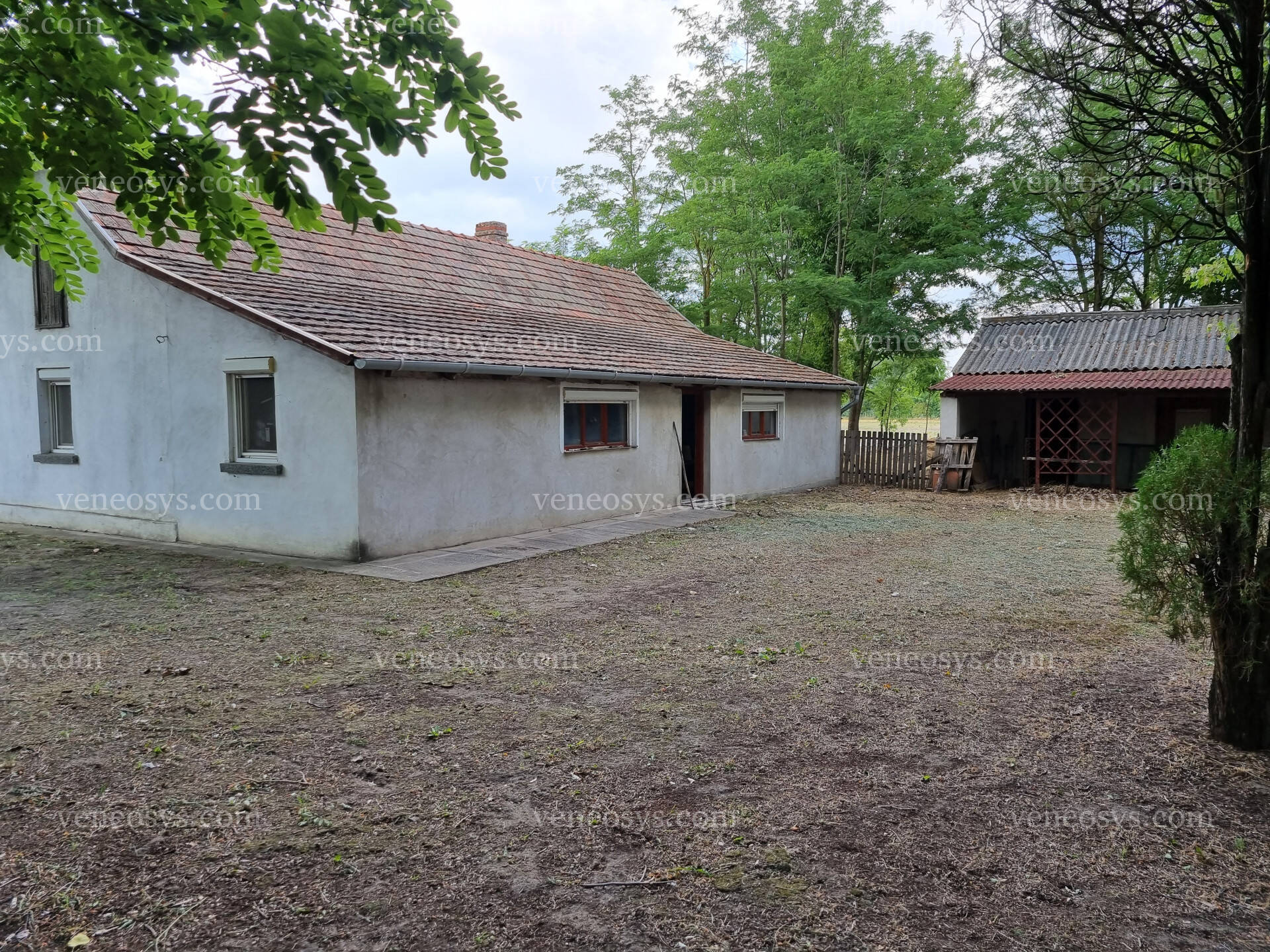 Kép 2